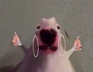 Meet your Posher, Mrs